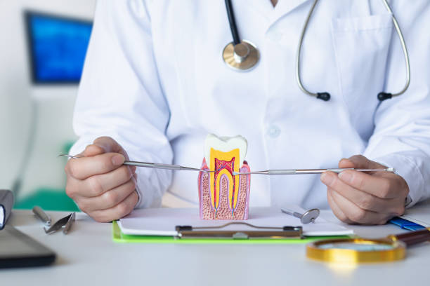 Best Broken or Cracked Tooth Emergency Dentist in Sheboygan, WI